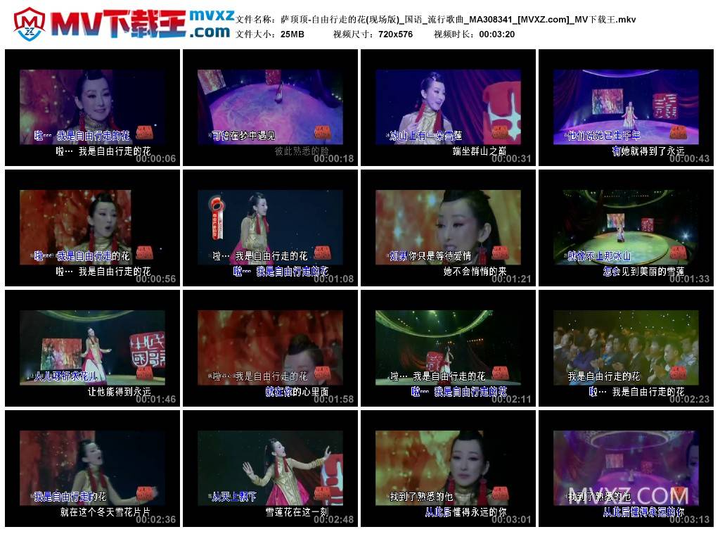 萨顶顶-自由行走的花(现场版)_国语_流行歌曲_MA308341